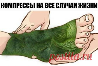 Эти компрессы избавляют от болей в суставах, коленях, заживляют раны и вытягивают гной! Эти компрессы избавляют от болей в суставах, коленях, заживляют раны и вытягивают гной! Узнала от своей бабушки…

Еще наши бабушки постоянно использовали эти компрессы для избавления от болей в суставах и заживления ран! Кроме того, капуста — отличная защита от радиации и рака, в дополнение к богатому содержанию витамина К, фолиевой кислоты и магния. Капустные листья используются с древ...