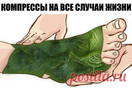 Эти компрессы избавляют от болей в суставах, коленях, заживляют раны и вытягивают гной! Эти компрессы избавляют от болей в суставах, коленях, заживляют раны и вытягивают гной! Узнала от своей бабушки…

Еще наши бабушки постоянно использовали эти компрессы для избавления от болей в суставах и заживления ран! Кроме того, капуста — отличная защита от радиации и рака, в дополнение к богатому содержанию витамина К, фолиевой кислоты и магния. Капустные листья используются с древ...