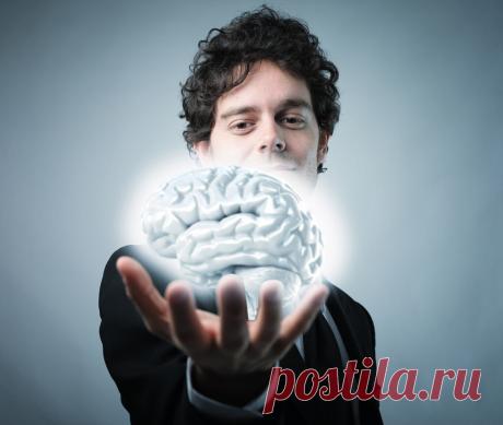 Как прокачать свой мозг с помощью 5 простых упражнений Мозг – одни из наиболее важных органов в теле человека. Его развитие влияет на восприятие мира и отдельных ситуаций. Его часто сравнивают с мышцей, которую необходимо прокачивать. Как это можно делать и чем пользоваться? Ниже рассматриваются несколько основных возможностей улучшить работу мозга.  Шахматы  Игра в шахматы или другое интеллектуальное занятие способствует активной работе мозга. Во …