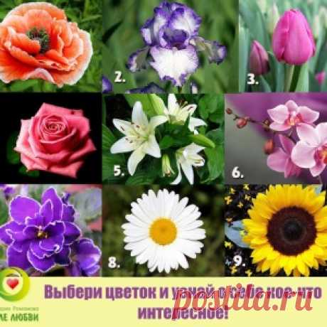 Забавный тест - МирТесен