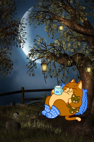 Летняя ночь