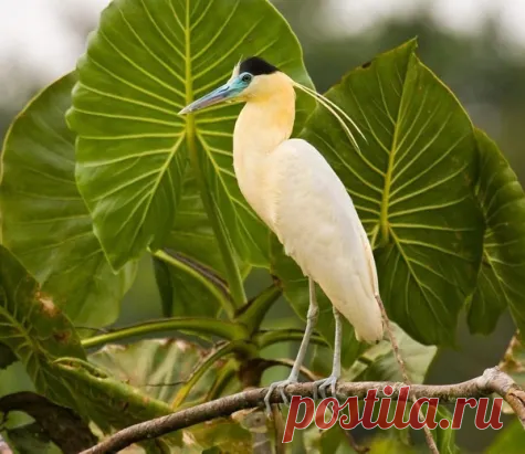 «Одноклассники» — карточка пользователя Наталья Б. в Яндекс.Коллекциях
