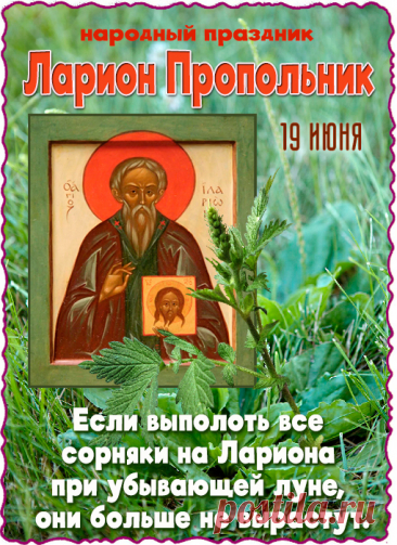 Мира и радости — в праздник святой!
Жить благодатно, со светлой душой.
Добра, вдохновенья, уюта, тепла,
Жизнь чтобы ясной и светлой была.