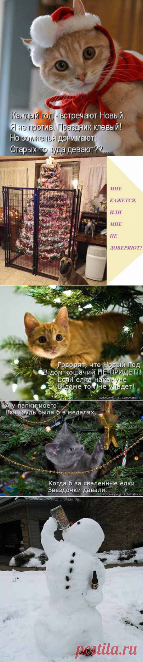Зимние прикольные картинки - большая веселая подборка