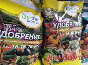 Дорогие удобрения – не нужны: чем заменить их из того, что есть дома. Один из самых доступных и эффективных источников калия и микроэлементов – обычная древесная зола.
