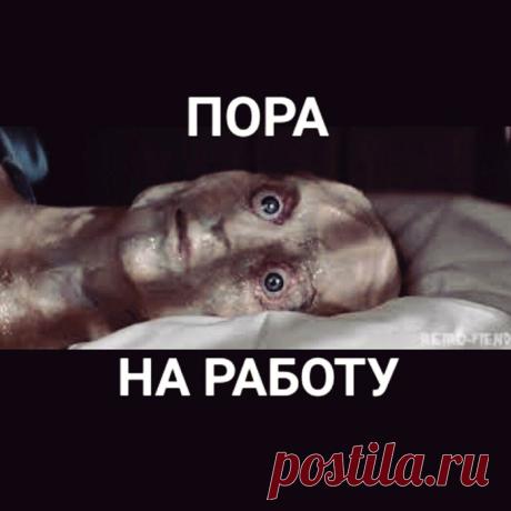 Доброе утро, Пикабу! - 03.07.23 08:54 | Пикабу