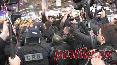 Во Франции фермеры устроили стычки с полицией на сельскохозяйственной выставке. Французские фермеры прорвались на сельскохозяйственную выставку в Париже во время визита на мероприятие Эммануэля Макрона. Они выкрикивали лозунги и освистывали президента, призывая к его отставке. В павильоне начались стычки фермеров с полицейскими, шестерых демонстрантов задержали. Акции протеста аграриев продолжаются по всей стране. Читать далее