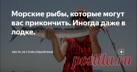 Морские рыбы, которые могут вас прикончить. Иногда даже в лодке. О пресноводных, всех этих пираньях, электрических угрях и других - пока умолчим. С кого же начнём? Ну вот давайте хотя бы с саргана, который о славе акул даже и не мечтает, но, тем не менее...  Энциклопедия Britannica относит его к группе Needlefish (рыба-игла) и вот что вкратце пишет: Рыба-игла , любая из длинных, тонких, преимущественно морских рыб семейства Belonidae (отряд Atheriniformes), встречается в у...