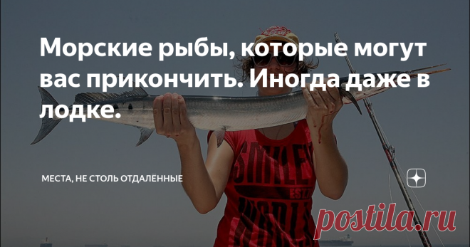Морские рыбы, которые могут вас прикончить. Иногда даже в лодке. О пресноводных, всех этих пираньях, электрических угрях и других - пока умолчим. С кого же начнём? Ну вот давайте хотя бы с саргана, который о славе акул даже и не мечтает, но, тем не менее...  Энциклопедия Britannica относит его к группе Needlefish (рыба-игла) и вот что вкратце пишет: Рыба-игла , любая из длинных, тонких, преимущественно морских рыб семейства Belonidae (отряд Atheriniformes), встречается в у...