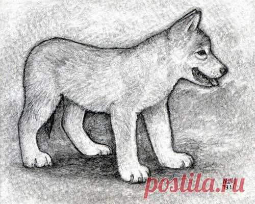 Рисуем щенка Рисуем щенкаРисуем щенка с детьми любого возраста, потому что это базовые навыки, необходимые для дальнейшего развития личности.