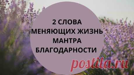 2 слова, меняющих жизнь. Мантра благодарности и принятия | Астролог Мария Кузьменко | Яндекс Дзен