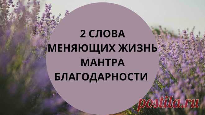 2 слова, меняющих жизнь. Мантра благодарности и принятия | Астролог Мария Кузьменко | Яндекс Дзен