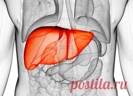 Симптоматика цирроза печени — не прозевайте необратимую патологию Под циррозом понимают хроническое заболевание печени с поражением эпителиальной железистой ткани и замещении ее на соединительную рубцовую, приводящее к полной утрате органом функций.
Симптомы цирроза...
