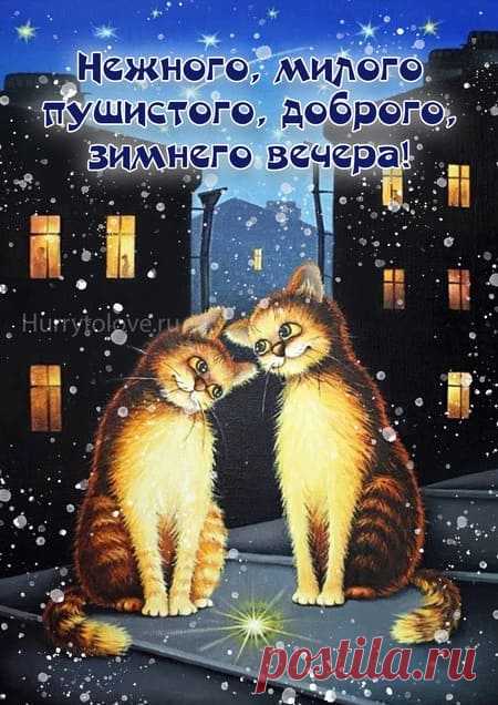 Добрый зимний вечер красивые картинки: скачать бесплатно открытки с пожеланиями