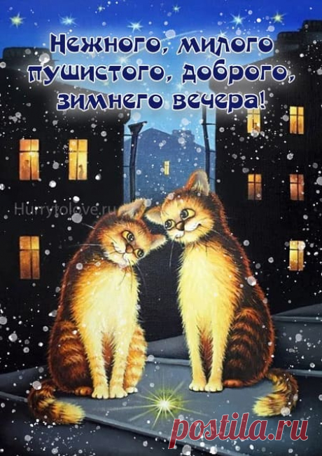 Добрый зимний вечер красивые картинки: скачать бесплатно открытки с пожеланиями