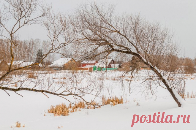 Приведен лунный календарь для садовода и огородника на февраль 2018 года. Вы найдете фазы луны, знаки зодиака, а также благоприятные и неблагоприятные дни для посадки растений, в том числе комнатных.