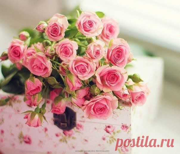 Для чего тебе нужен интернет?

Смотреть фильмы и ролики в ютубе? Играть в игры и ходить по ленте и фотографиям в соцсетях?
Или
обучаться и зарабатывать деньги? Как думаешь в интернете вообще есть деньги?

А хочешь, чтобы не ты платил за интернет, а интернет приносил доход в семью?Читай