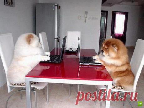 Наталья: Если ты противница покоя, значит ты пока что молода. И покуда верится, что можешь одолеть любой крутой подъем, ты на 10 лет моложе возраста, что в паспорте твоем.