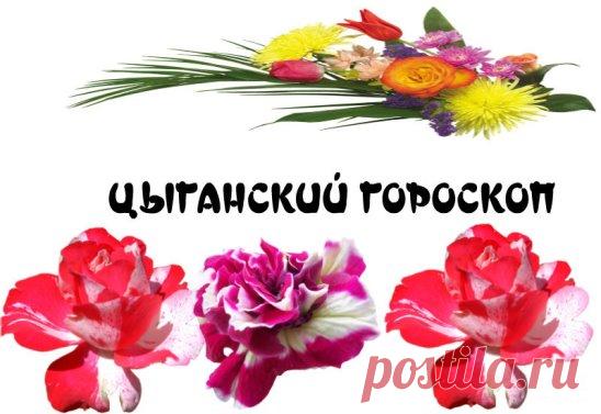 Действительно ли цыганки, когда гадают, говорят правду? Мы рассекретили цыганский гороскоп, который расставляет все на свои места! Давайте проверим!
У цыган есть своя собственная система знаков, определяющая судьбу и особые характеристики человека по дню рождения. В цыганском гороскопе всего 12 знаков, каждый из которых охватывает определенный период времени.
Ну что проверим?