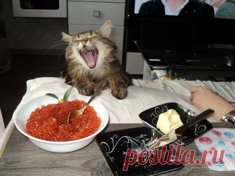 Аааааа.... а мне ))))