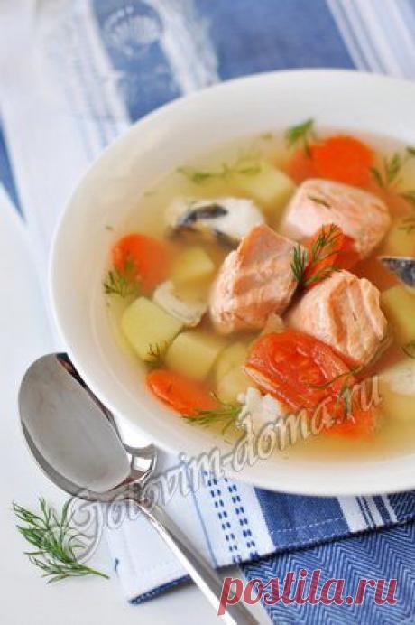 Рецепт: Уха с картофелем и помидорами
