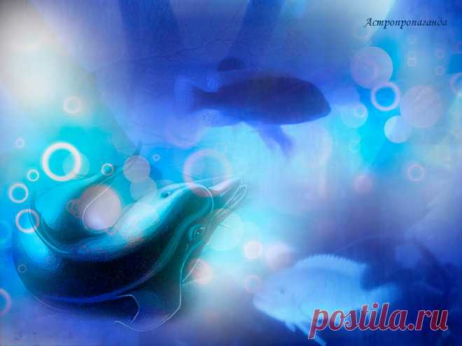 25.12.2019. Магия и приметы этого дня | Астропропаганда | Яндекс Дзен
✨ Автор: астролог Нина Стрелкова. ✧ День вблизи новолуния, предшествующий Солнечному затмению. Один из самых темных дней Гекаты, богини ночного мрака. Стихия этого дня - Вода, обладающая огромной силой, способная смести любые преграды на своем пути. Вода символизирует все невидимое, тайное, иногда опасное. День связан с темной кармой.