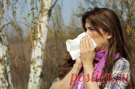 Весна и аллергия что делать