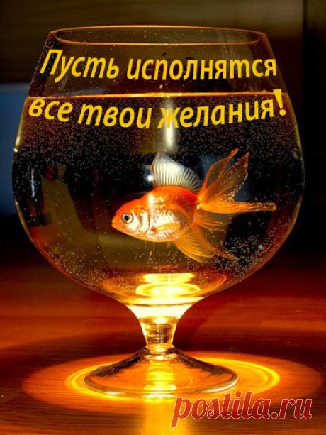 Золотая рыбка 
Жили-были дед да баба, ели кашу, но с водой, просто пенсия такая,
может быть и никакой.Говорит старуха мужу:- Съесть бы кашу, да с медком!А еще тулуп на стужу и дровишек, чтоб с теплом! 
-Эх, старуха, ты сказала! Где же денег столько взять?Кашку б ела да молчала, нечего и возникать…
post-16772-0-88614300-1444504772.jpg (375×500)