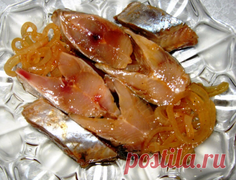 Вкуснейшая селёдка. Старый рецепт из тетрадки. Забытые блюда, потрясающий вкус. Пробуем вместе. Нежнейшая селёдка | Большая Ира | Яндекс Дзен
