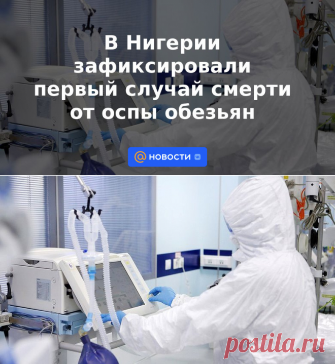 2-6-22-В Нигерии зафиксировали первый случай смерти от оспы обезьян - Новости Mail.ru
