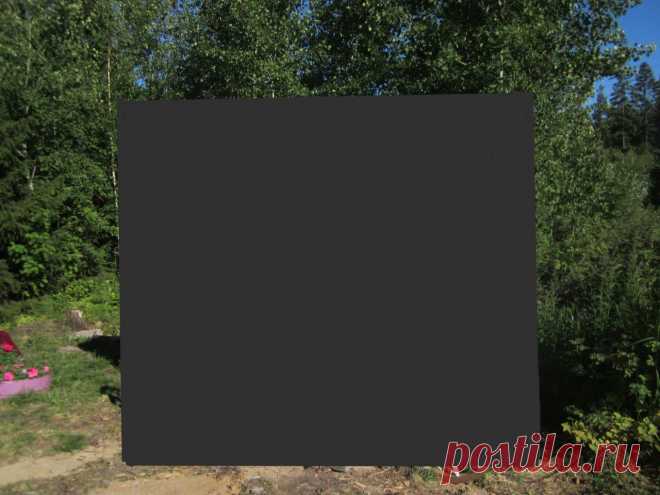 Дачный туалет (31 фото) | Хитрости Жизни