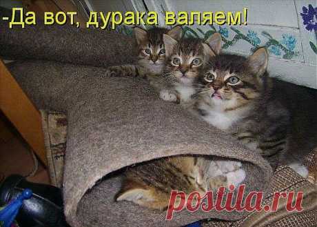 НУ НАДО ЖЕ ЧЕМ ТО ЗАНЯТЬСЯ