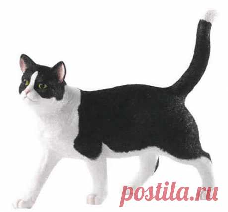 Кот черно-белый стоящий 15 см Кот черно-белый стоящий 15 см,ENESCO,Сomic Cats