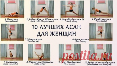 10 лучших асан для женщин • Искусство здоровой жизни