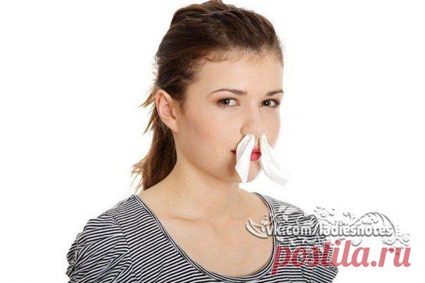 Народная медицина победит полипы | Женский журнал