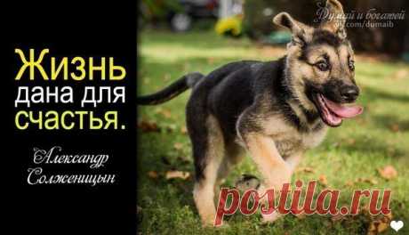 Думай и Богатей