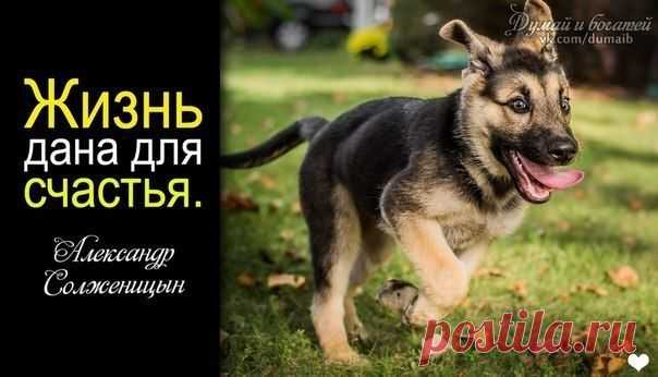 Думай и Богатей