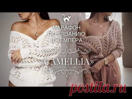 ВЯЖЕМ РОСКОШНЫЙ ДЖЕМПЕР «КАМЕЛИЯ»Размеры: 42-58 🔥 3 варианта вереза: V-образный, круглый и лодочкой!