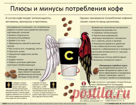 (+1) тема - Инфографика: плюсы и минусы потребления кофе | Среда обитания