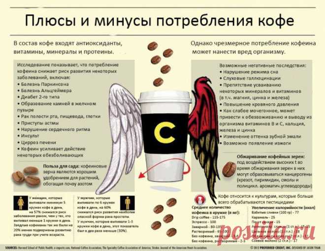 (+1) тема - Инфографика: плюсы и минусы потребления кофе | Среда обитания