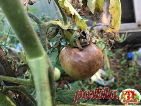 Одноклассники