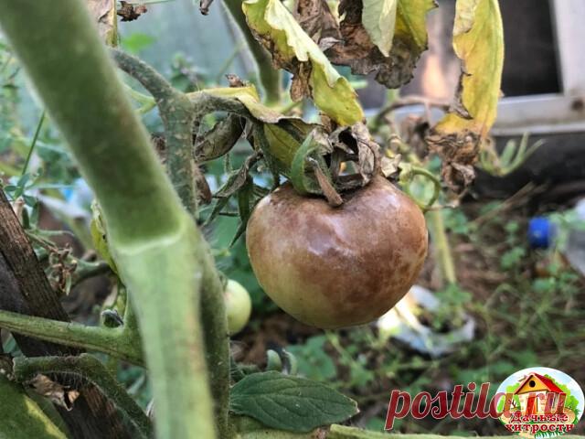 Одноклассники