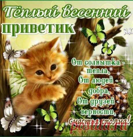 Интересные новости