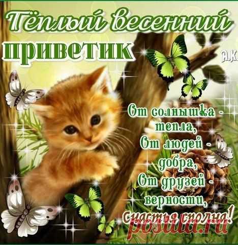 Интересные новости