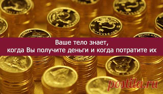 Ваше тело знает, когда Вы получите деньги и когда потратите их