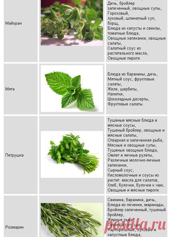 Использование трав в кулинарии / Меню недели