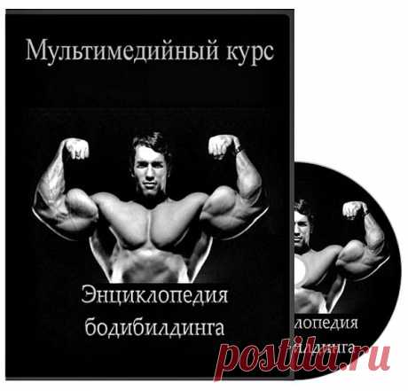 Энциклопедия бодибилдинга (Видеокурс) Энциклопедия "Бодибилдинг" позволит всем познакомиться с искусством совершенствования своего тела, не выходя из-за рабочего стола. Изучив теорию, вы сможете перейти к практике в настоящем спортивном зале, причем под руководством опытного мастера — директора фитнес-центра "Марк