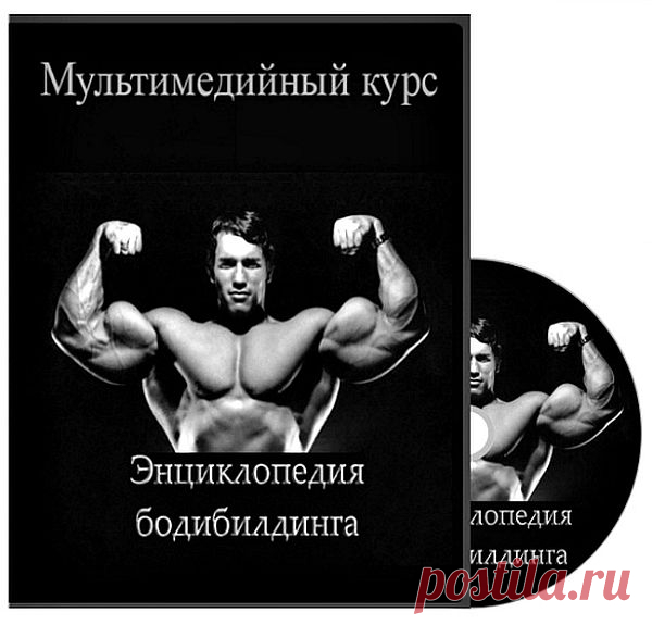 Энциклопедия бодибилдинга (Видеокурс) Энциклопедия 