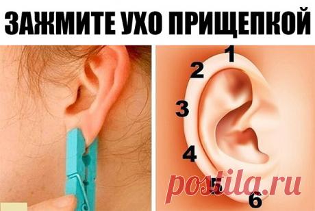 Зажмите ухо прищепкой на 5 секунд. Эффект будет неожиданным, обещаю! 

Китайская традиция в действии.

В жизни никуда не деться от боли и усталости. Это нормально: все мы люди и не можем постоянно чувствовать себя идеально. 

Но вы удивитесь, какой запас здоровья хранят в себе внешние и внутренние органы вашего тела! И этот запас можно высвободить. 

Существует интересный и необычный способ управления энергией в теле — рефлексология. Придумали его китайцы, много тысяч лет ...