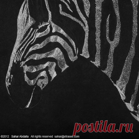 Stippling on Behance